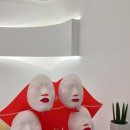 미가코리아 이미지