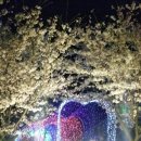 지방도925호선 이미지