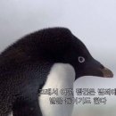 좋은하루 이미지