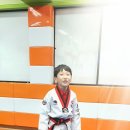 삼성유아태권도 이미지