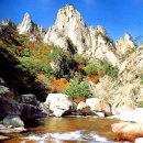 설악산냉면 이미지