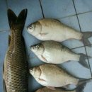 방문목장 이미지