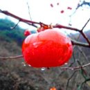 서울시가 연말연시 장바구니 부담을 줄여 준다고 합니다... 이미지