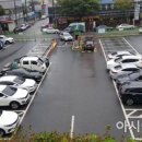 남교체육관 이미지