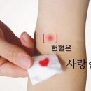 초당로 이미지