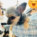 바디랑 필라테스 스튜디오 | 인생 첫 필라테스 바디프로필 후기 feat.하임스튜디오하남