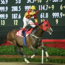 동서대로 이미지