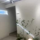 회기미용실 플랜에이치 회기점 레이어드컷+ 레드바이올렛 염색하고 분위기 대박 바뀐 후기💜