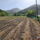 중거리마을회관 이미지