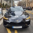 괴산하나의원 | 광주 탁송업체 추천! 서울 캐리어탁송 전문! 람보르기니 우루스S 서울 서초구 잠원동 → 광주광역시...