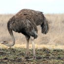 골프랜드 이미지