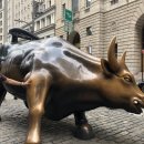 황소밧데리 이미지