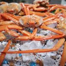 홍게천국 이미지