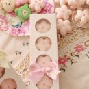 벚꽃 마카롱 이미지