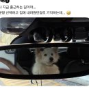 쟈니하우스 | 3월 11일 데일리코디 | 수원 꽃집 추천 | 봉은사 방문 후기, 봉은사역 주차 정보