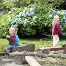 숲속나라유치원 이미지