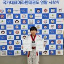 아라한 태권도장 이미지