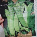 청화팜스