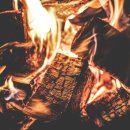 해적선 애견펜션 이미지