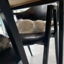 냥린이네 이미지