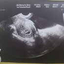 제이유산부인과의원 이미지