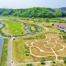 낙동강변24 이미지