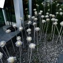 장성동 우체국 이미지