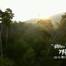 천년숲서로(서) 이미지