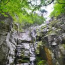 뒷골로, 뒷골1로 이미지