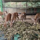 광개토농장 이미지