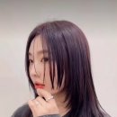 바인즈 티스토리