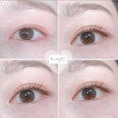 도노슈아 이미지