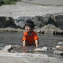 봉평메밀진미식당 이미지