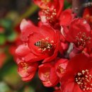 농남중학교 이미지