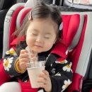 신평동1073 | 경주 1박2일 여행