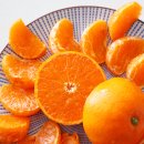 한길3농장 이미지