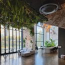 노부스테라 이미지