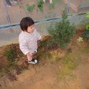 상승농장1 이미지