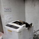 북부소방서 화장실 이미지