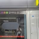 조천읍 와흘메밀마을 | [제주 혼여] 2일차 (2) 조천읍 와흘메밀마을 - 미소정 - 제주 빌리카 - 제주국제공항 | 6월 메밀꽃 명소...
