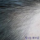 미인헤어샾 - 강북구 | 미인헤어샾