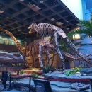 공룡박물관 이미지