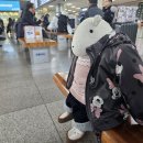 밸리애 | [요구르트비교]낙안목장 임실치즈마을 밸리애 플레인 요거트