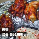 화락바베큐치킨 평택고덕점 | 평택 청춘 통닭 바베큐 다시 주문하고 싶은 고덕맛집 배달후기