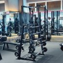 머슬피플 이미지