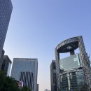 우리프라자 인도쪽 | &#39;부처님 오신 날&#39; 2025 연등회 후기 : 서울 도심을 수놓은 5만 연등행렬, 환상의 빛 축제
