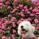 포옹남 당산점 이미지