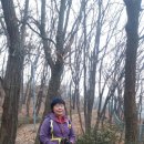 도심길12 이미지