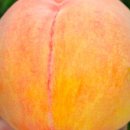 농원농산 이미지