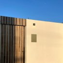 종달차경(메리골드) 이미지